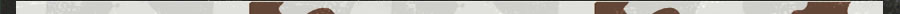 footer.jpg